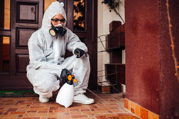 Reliable Ant Control contractor in Manchester, KY by Nex Pest Control